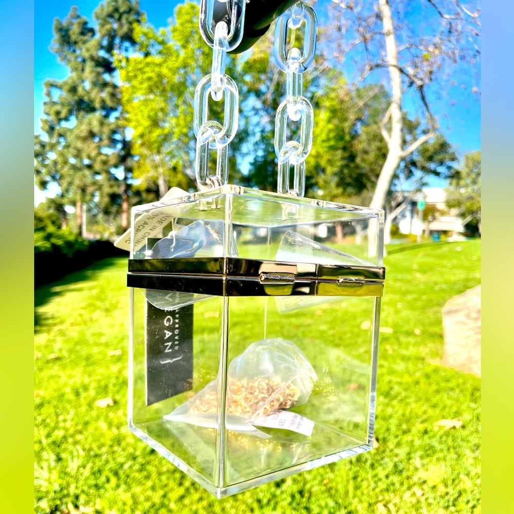 Acrylic Cube purse